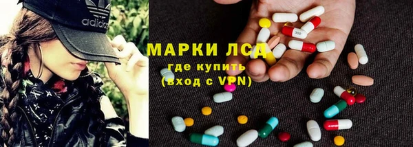 ПСИЛОЦИБИНОВЫЕ ГРИБЫ Алзамай