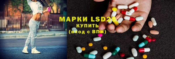 ПСИЛОЦИБИНОВЫЕ ГРИБЫ Алзамай