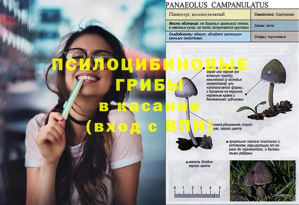 ГАЛЛЮЦИНОГЕННЫЕ ГРИБЫ Алексеевка