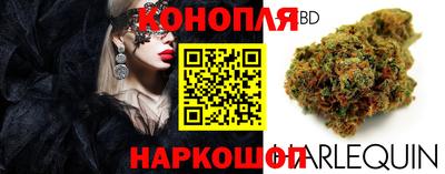 ПСИЛОЦИБИНОВЫЕ ГРИБЫ Гусев