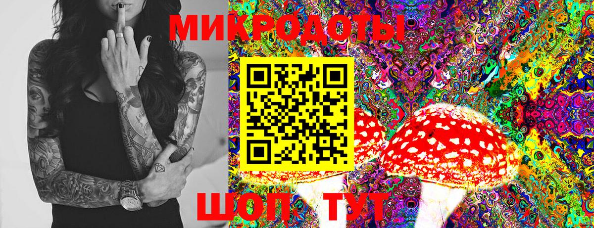 Псилоцибиновые грибы GOLDEN TEACHER Менделеевск