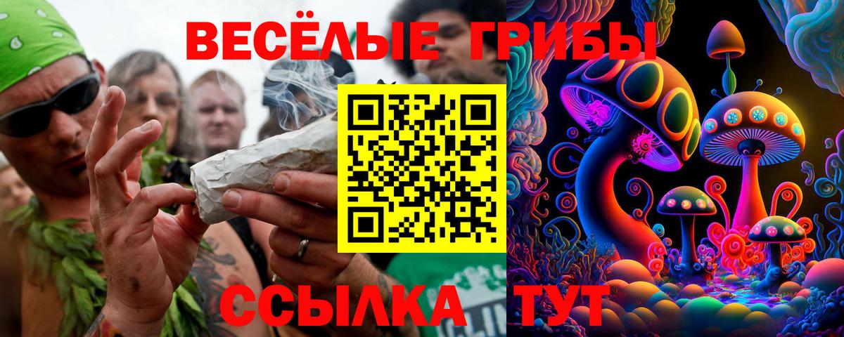 Менделеевск  Галлюциногенные грибы GOLDEN TEACHER  Вход с VPN 